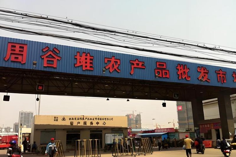 安徽批发